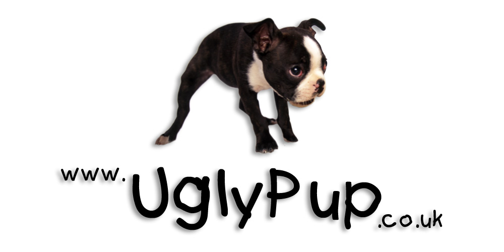 Ugly Pup Graphic